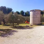 L'ulivo E Lo Scoiattolo *